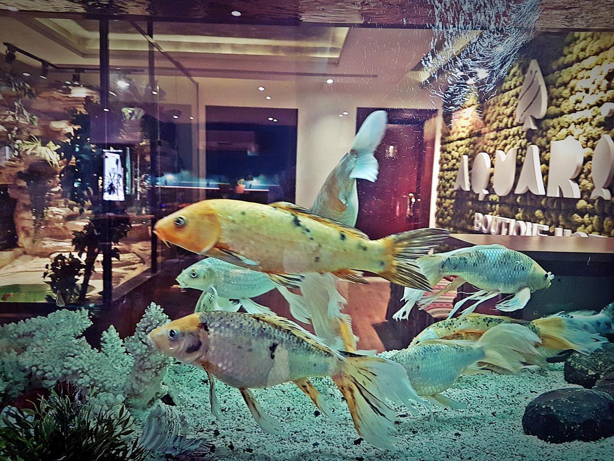 ריאד Aquarium Hotel מראה חיצוני תמונה
